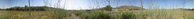 #8: PANORAMICA