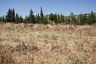 #2: View North
