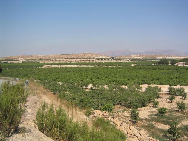 vista de la zona