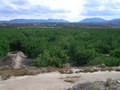 #8: The confluence point as seen from above the road, about 60 m away