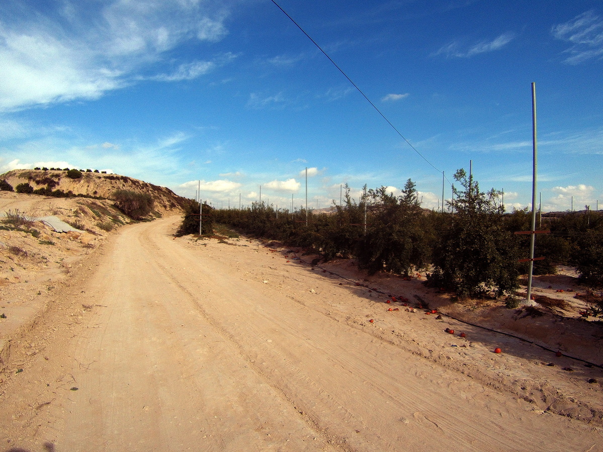 Camino de Servicio