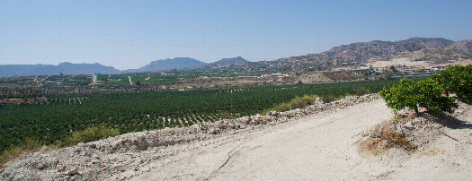 #1: The confluence point lies 129m away, in this orchard. (I'm holding my camera above the fence that prevents access.)