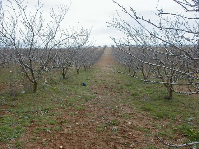 View from north