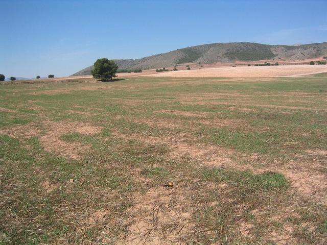 vista oeste