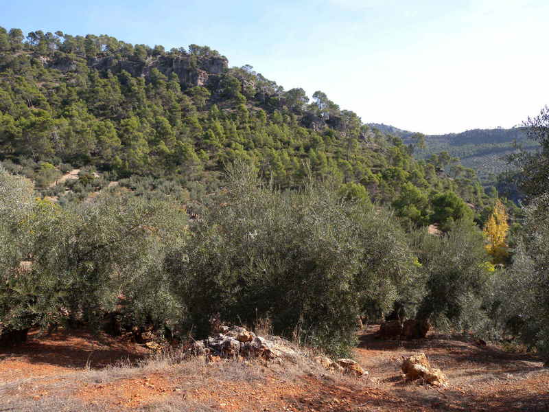 View to the East
