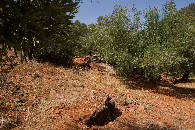 #2: View North