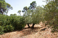 #3: View South