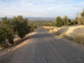 #5: Country Lane Leading to the Confluence Point