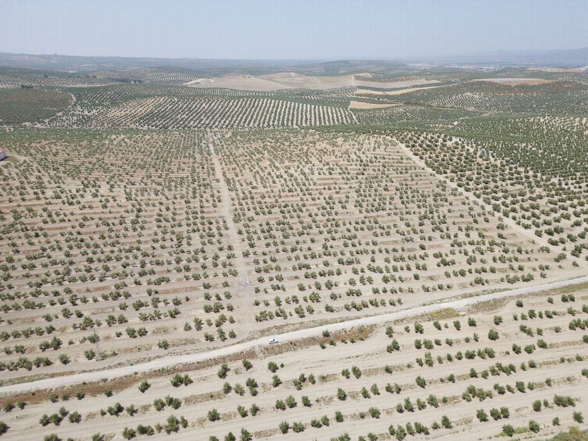 View West, from 120m above the point