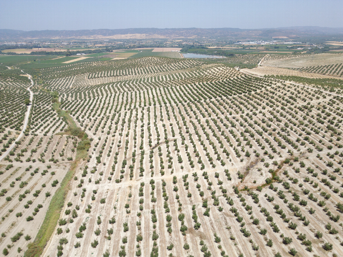 View North, from 120m above the point