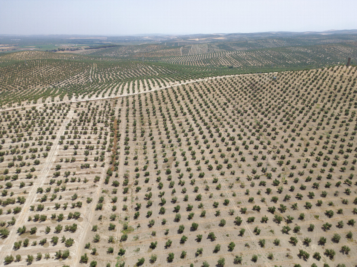 View East, from 120m above the point