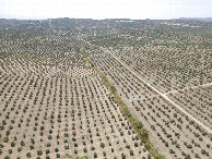 #10: View South, from 120m above the point