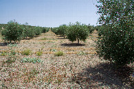 #2: View East