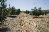 #3: View South