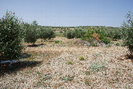 #4: View West
