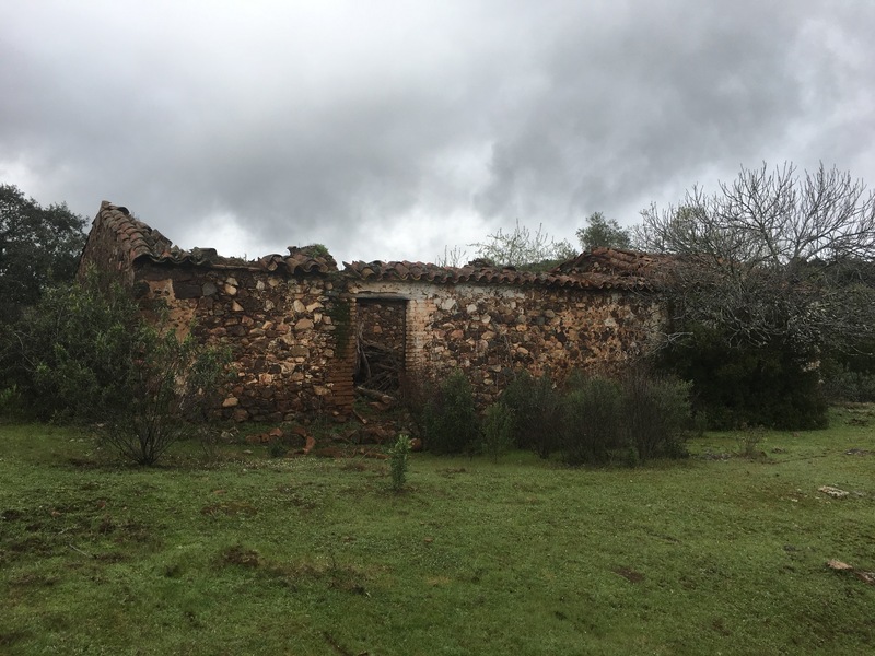 Abandoned farmhouse