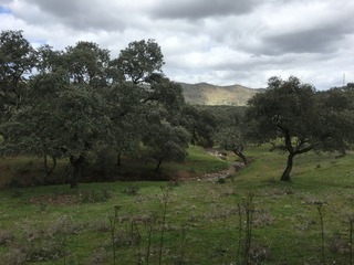 #1: The Confluence from 15 m distance