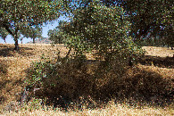 #2: View North