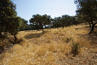 #3: View East