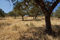 #4: View South