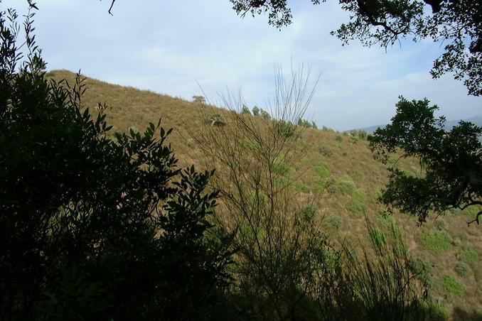 Vista para Nascente / View to the East