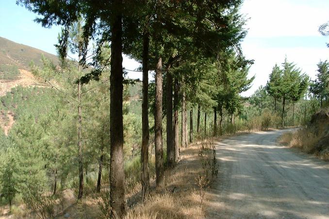 A caminho da confluência em BTT / The way to the confluence on an ATV