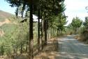 #7: A caminho da confluência em BTT / The way to the confluence on an ATV