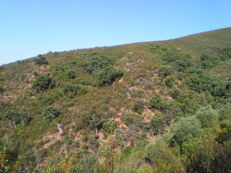 Confluencia / Confluence from a distance