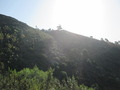 #2: Este / East