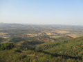 #8: Paisaje / Landscape