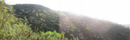 #9: Panoramica