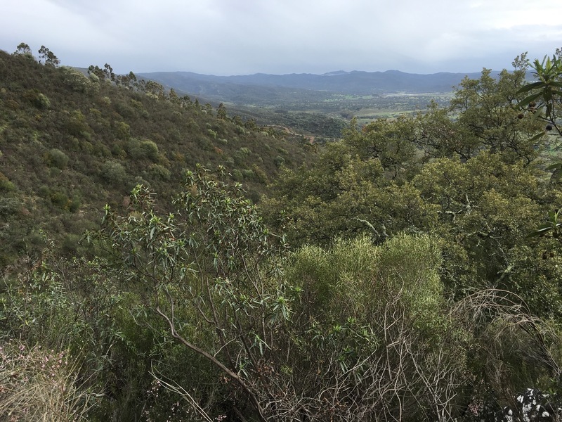 The Confluence from 10 m distance