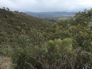 #1: The Confluence from 10 m distance