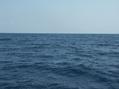 #4: East view