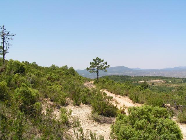 View to the West
