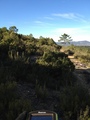 #3: west