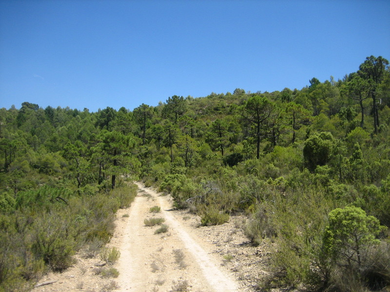 Confluencia / Confluence