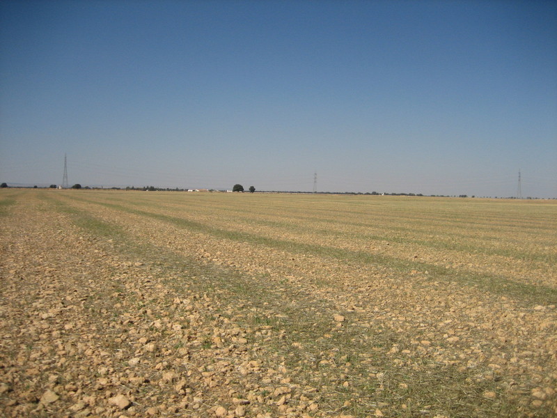 Oeste / West
