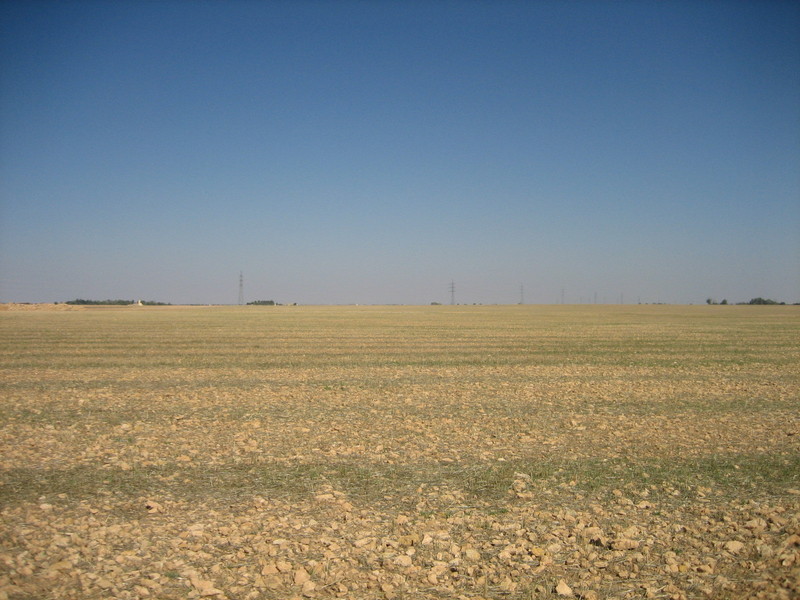 Norte / North