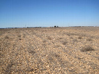 #4: Westen; view west