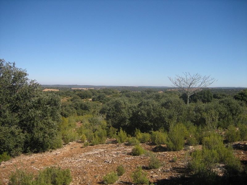 CONFLUENCIA / CONFLUENCE