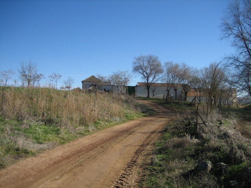 CONFLUENCIA / CONFLUENCE