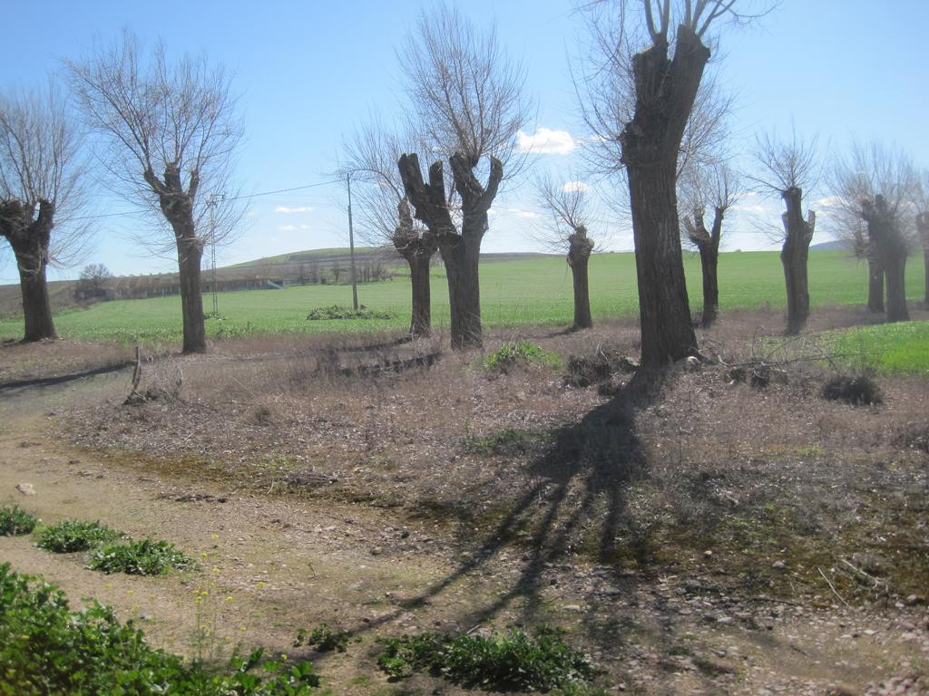 Süden; view south