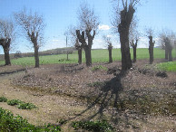 #3: Süden; view south