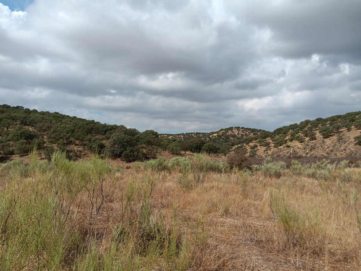 Vista al oeste