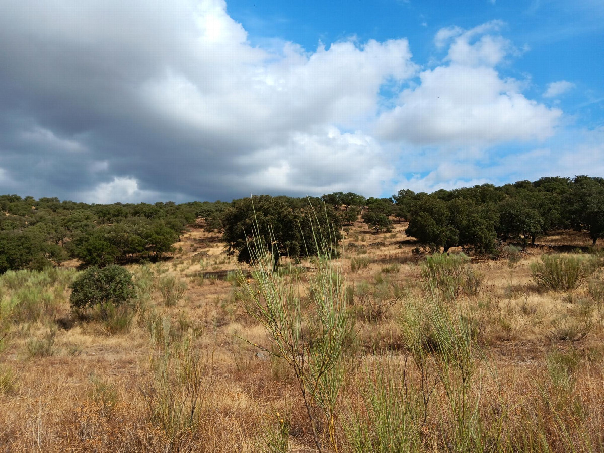 Vista al norte