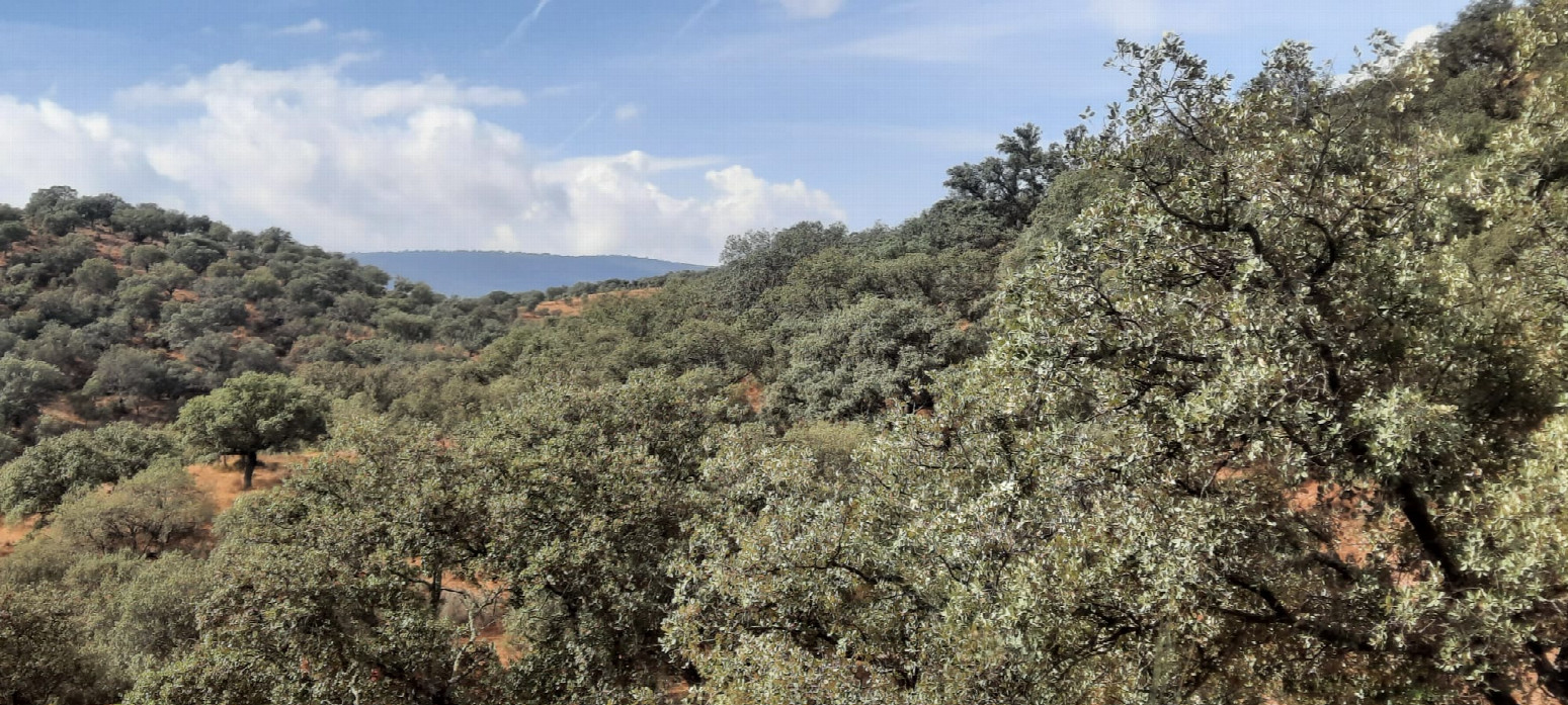 Paisaje del lugar