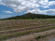 #3: Süden; view south