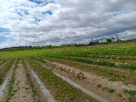 #4: Westen; view west