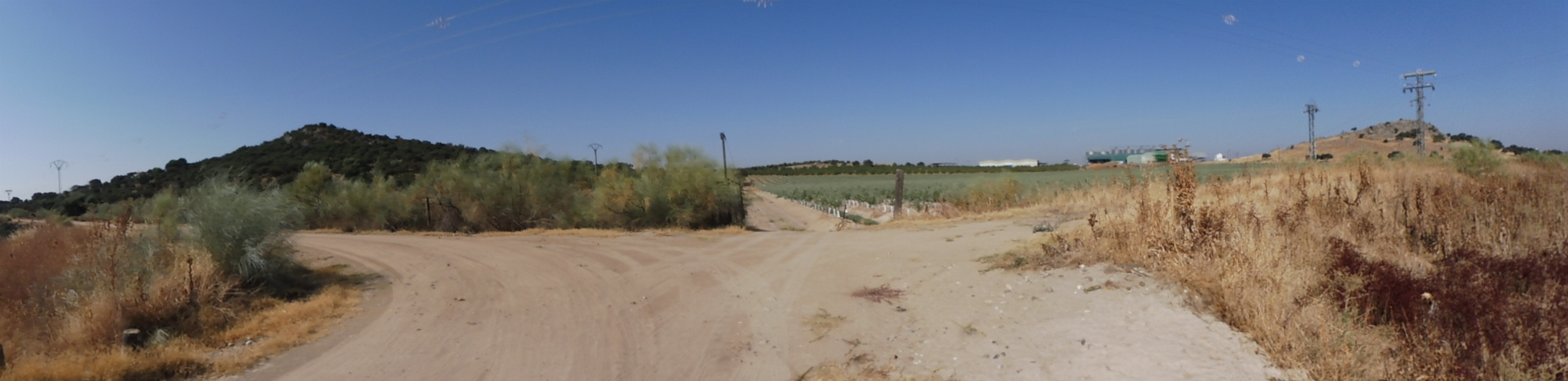 Panorama 100 m from the confluence